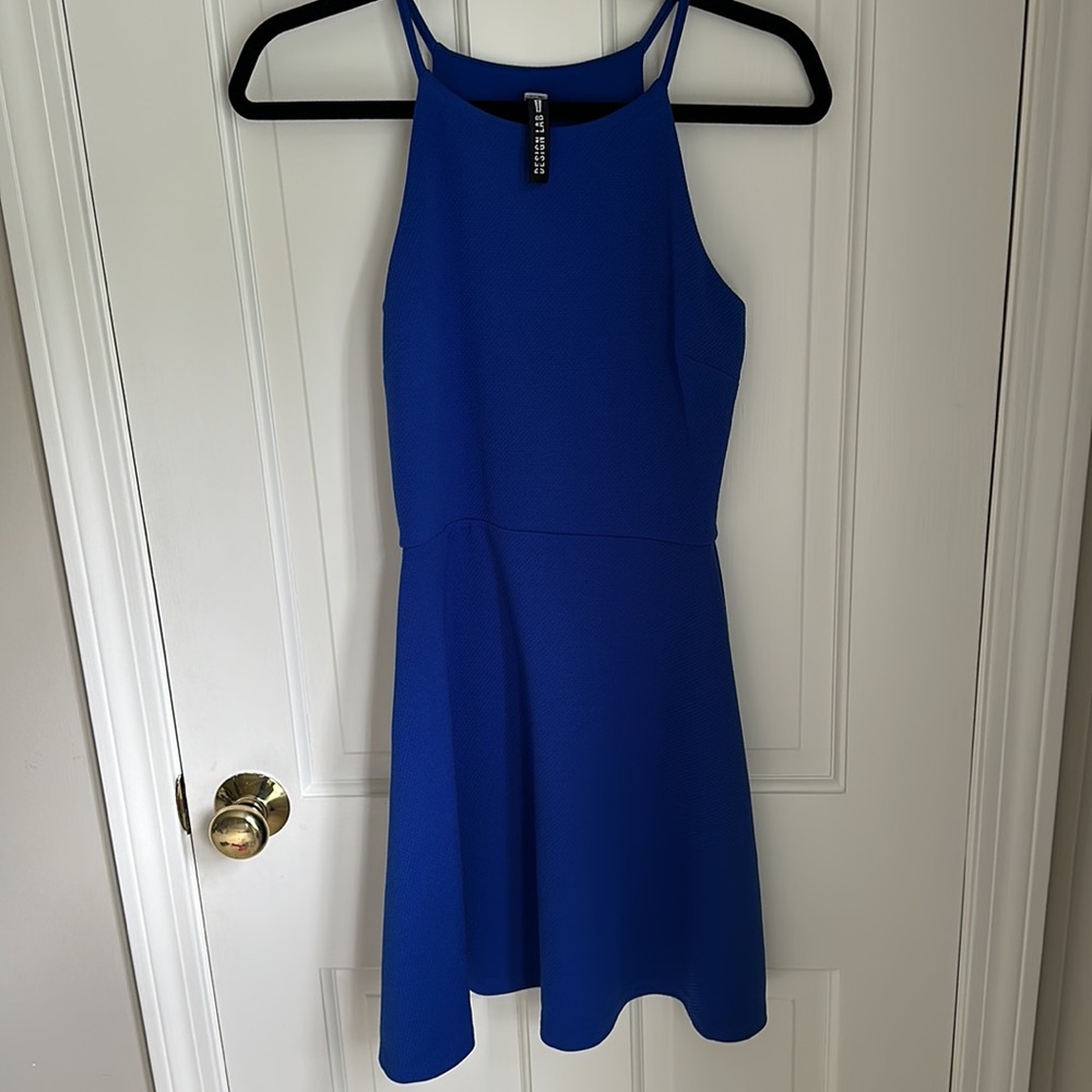Blue Design Lab skater dress